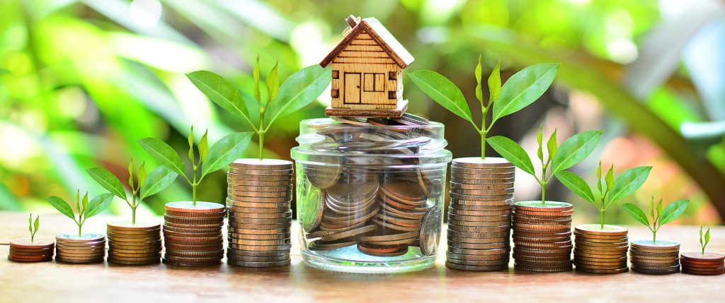 Donate to Native Partnership for Housing